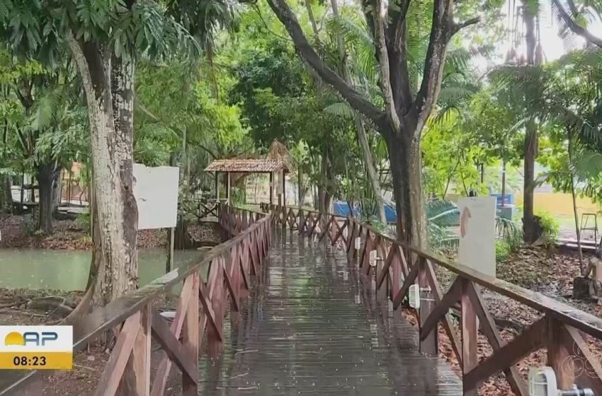  Programa nacional sobre políticas de museus percorre Macapá e Oiapoque; veja como se inscrever