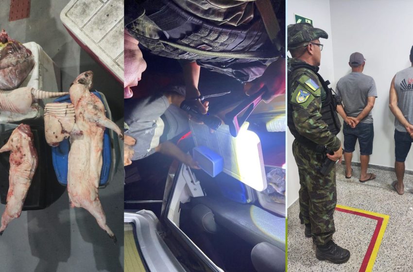  Polícia prende três pessoas com animais silvestres abatidos, arma e munições no interior do Amapá