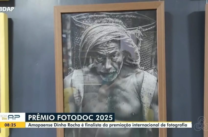  Fotógrafo que fez imagem de castanheiro na Amazônia vence prêmio internacional pelo Amapá