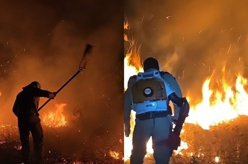  Incêndios florestais aumentam 161% no Amapá em uma semana, diz Ibama