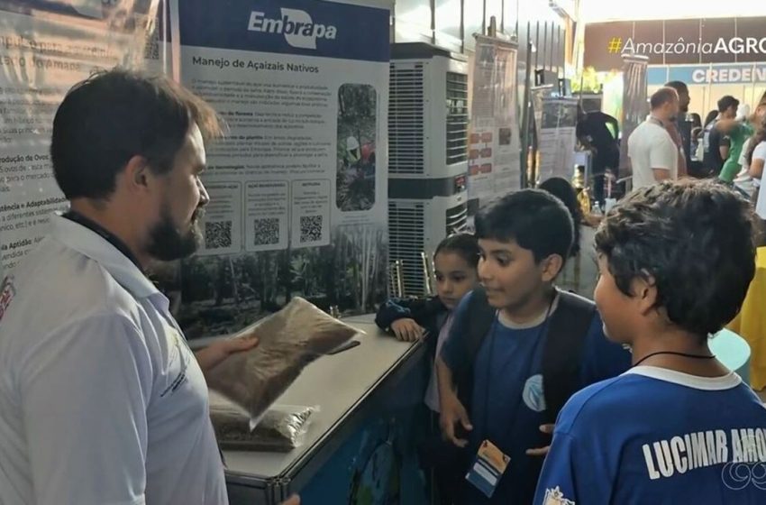  Estudo usa resíduos de pescado para criar ração alternativa e reduzir impactos ambientais no Amapá