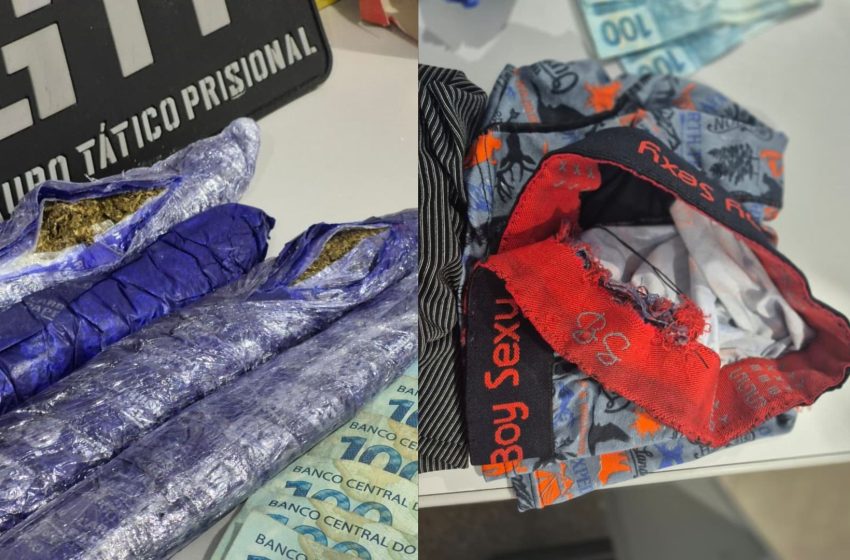 Servidor preso levava drogas para detentos do Iapen em costura de cuecas, diz polícia