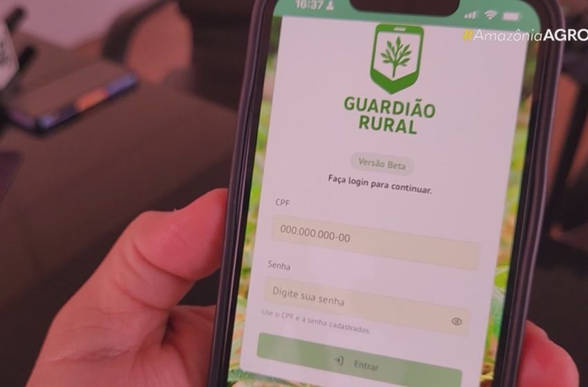  Aplicativo gratuito ajuda agricultores do Amapá a combater praga em lavouras de mandioca