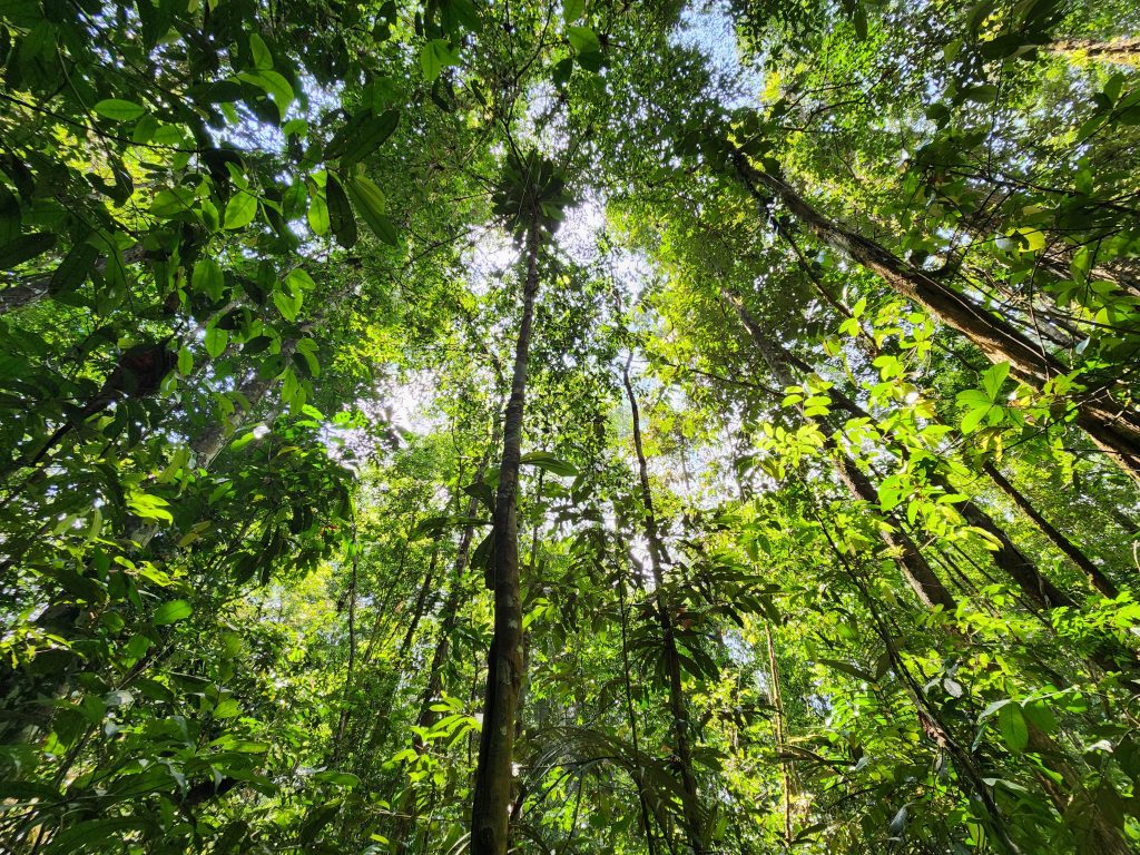 wp header logo 51.png