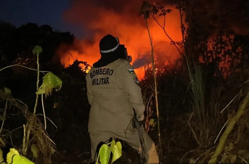  Número de focos de queimadas no Amapá em 2025 é o menor dos últimos três anos, diz CBM